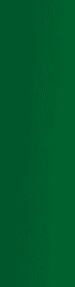 Mørkegrøn/067