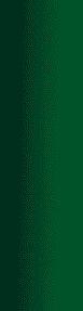 Mørkegrøn/067